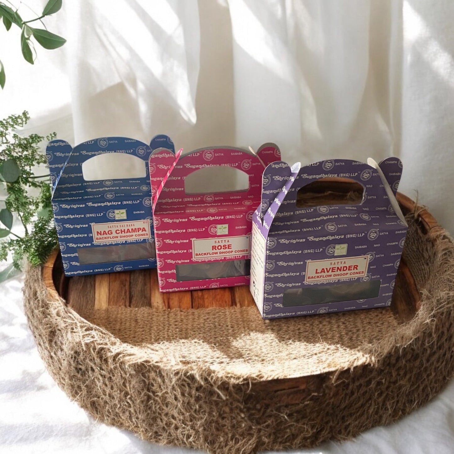 Pack of backflow incense cones with natural aroma for spiritual cleansing and calming atmosphere.