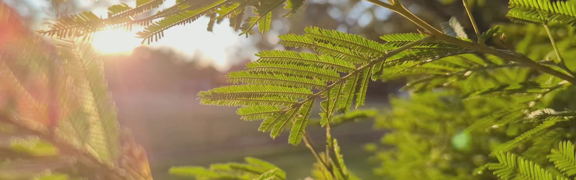 Load video: calming waves with written affirmation