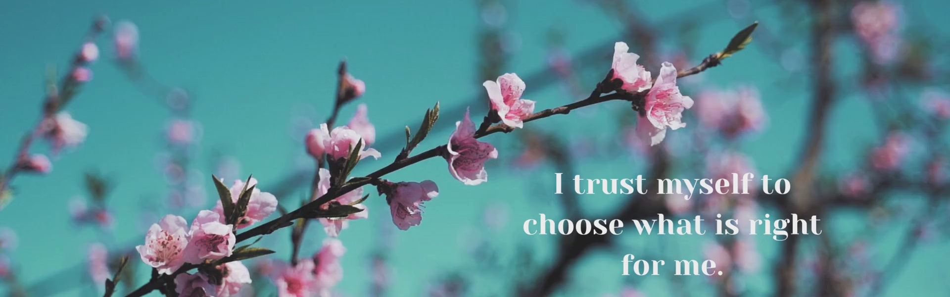 Load video: calming waves with written affirmation