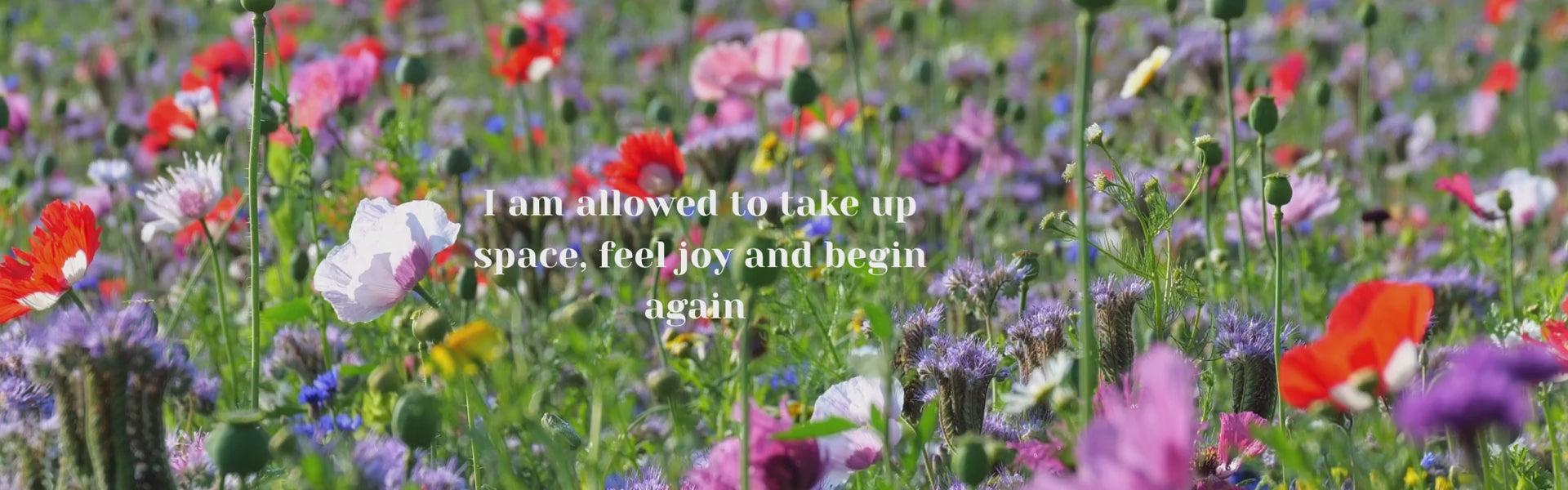 Load video: calming waves with written affirmation